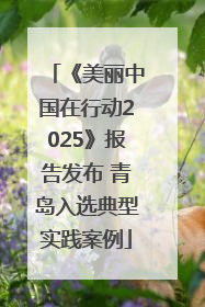 《美丽中国在行动2025》报告发布 青岛入选典型实践案例