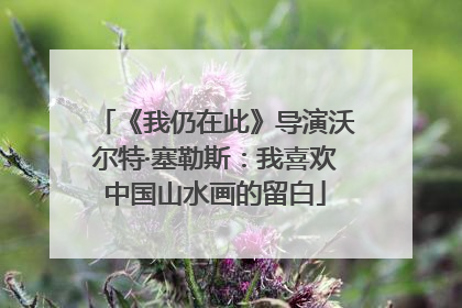 《我仍在此》导演沃尔特·塞勒斯：我喜欢中国山水画的留白