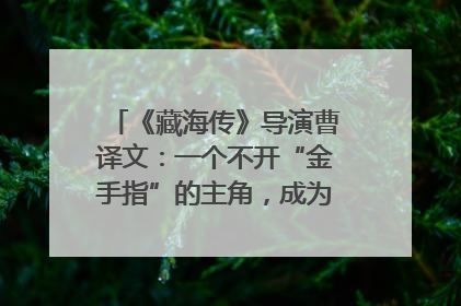 《藏海传》导演曹译文：一个不开“金手指”的主角，成为苍生守护者