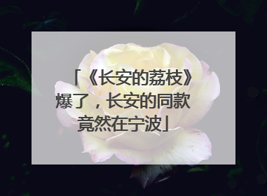 《长安的荔枝》爆了，长安的同款竟然在宁波