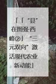 「“县”在图强·西峰②」“三元双向”激活现代农业新动能