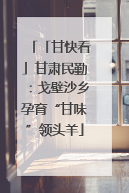 「甘快看」甘肃民勤：戈壁沙乡孕育“甘味”领头羊