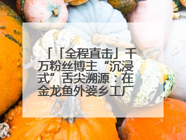「全程直击」千万粉丝博主“沉浸式”舌尖溯源：在金龙鱼外婆乡工厂寻回记忆中
