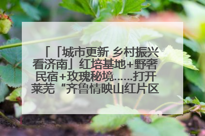 「城市更新 乡村振兴看济南」红培基地+野奢民宿+玫瑰秘境……打开莱芜“齐鲁情映山红片区”的破圈秘籍