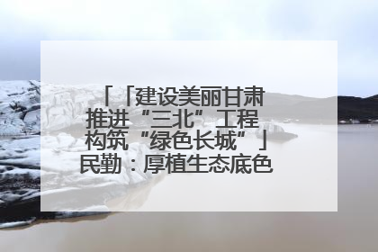 「建设美丽甘肃 推进“三北”工程 构筑“绿色长城”」民勤：厚植生态底色 筑牢绿色屏障