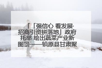 「强信心 看发展·招商引资拼落地」政府托举 绘出蔬菜产业新图景——镇原县甘肃聚广利现代设施蔬菜种植基地见闻