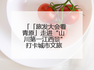 「旅发大会看青原」走进“山川第一江西景” 打卡城市文旅新地标（图）