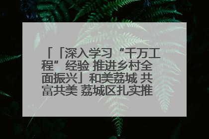 「深入学习“千万工程”经验 推进乡村全面振兴」和美荔城 共富共美 荔城区扎实推进乡村振兴工作