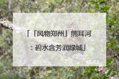 「风物郑州」熊耳河：碧水含芳润绿城