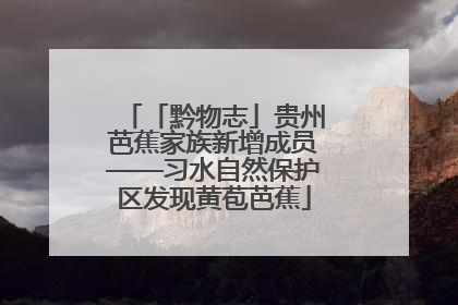 「黔物志」贵州芭蕉家族新增成员——习水自然保护区发现黄苞芭蕉