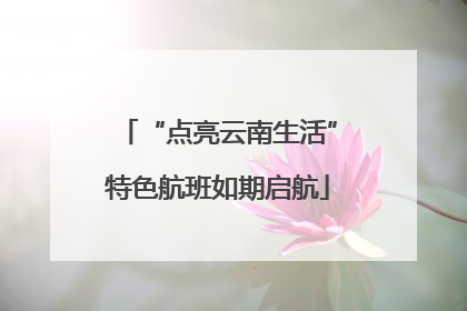 “点亮云南生活”特色航班如期启航