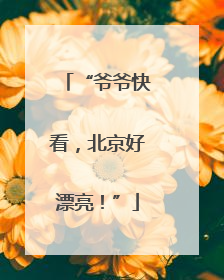 “爷爷快看，北京好漂亮！”