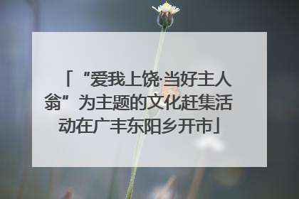 “爱我上饶·当好主人翁”为主题的文化赶集活动在广丰东阳乡开市