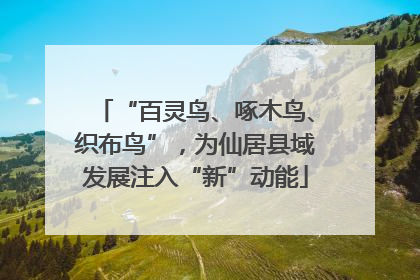 “百灵鸟、啄木鸟、织布鸟”，为仙居县域发展注入“新”动能