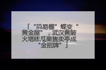 “简易棚”蝶变“黄金屋”，武汉黄陂火塔线瓜果售卖亭成“金招牌”
