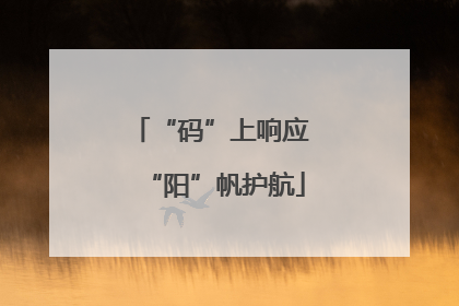 “码”上响应 “阳”帆护航