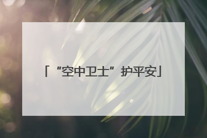 “空中卫士”护平安