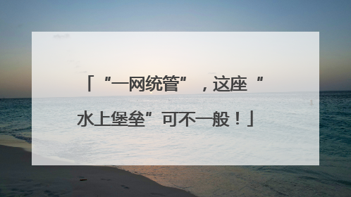 “一网统管”，这座“水上堡垒”可不一般！