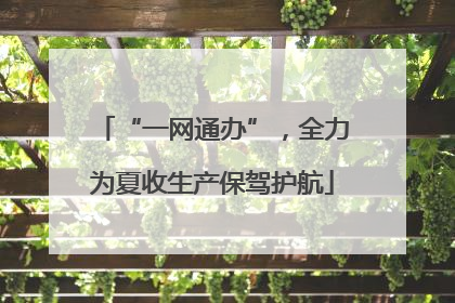 “一网通办”，全力为夏收生产保驾护航