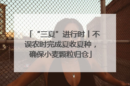 “三夏”进行时丨不误农时完成夏收夏种，确保小麦颗粒归仓