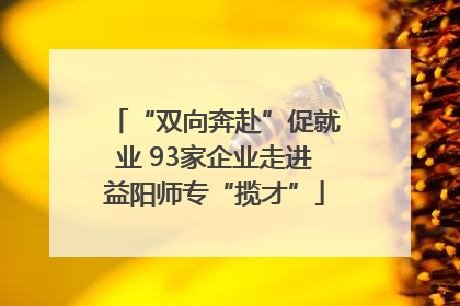 “双向奔赴”促就业 93家企业走进益阳师专“揽才”
