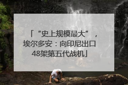 “史上规模最大”，埃尔多安：向印尼出口48架第五代战机