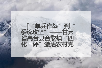 “单兵作战”到“系统攻坚”——甘肃省高台县合黎镇“四化一评”激活农村党员管理新引擎