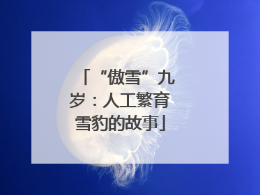 “傲雪”九岁：人工繁育雪豹的故事