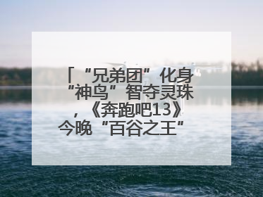 “兄弟团”化身“神鸟”智夺灵珠，《奔跑吧13》今晚“百谷之王”花落谁家？