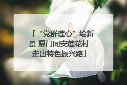“党群莲心”绘新景 厦门同安莲花村走出特色振兴路