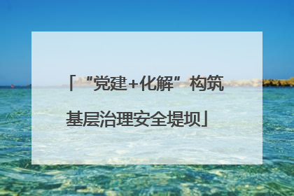“党建+化解”构筑基层治理安全堤坝