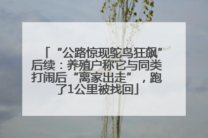 “公路惊现鸵鸟狂飙”后续：养殖户称它与同类打闹后“离家出走”，跑了1公里被找回