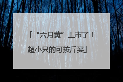 “六月黄”上市了！超小只的可按斤买