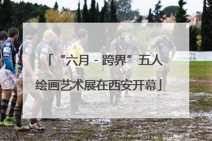 “六月 - 跨界”五人绘画艺术展在西安开幕