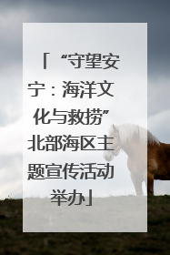 “守望安宁：海洋文化与救捞”北部海区主题宣传活动举办