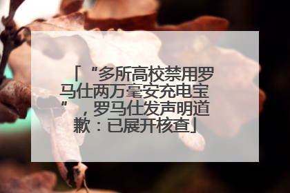“多所高校禁用罗马仕两万毫安充电宝”，罗马仕发声明道歉：已展开核查