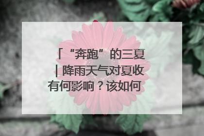 “奔跑”的三夏｜降雨天气对夏收有何影响？该如何防范？一文了解