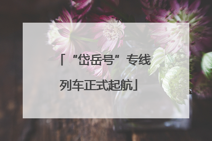 “岱岳号”专线列车正式起航