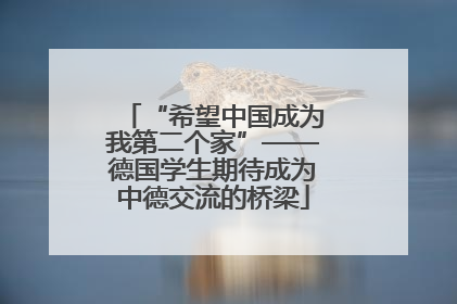 “希望中国成为我第二个家”——德国学生期待成为中德交流的桥梁