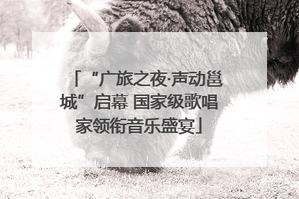 “广旅之夜·声动邕城”启幕 国家级歌唱家领衔音乐盛宴