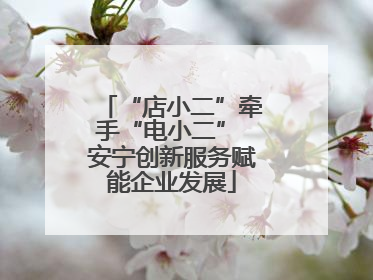 “店小二”牵手“电小二” 安宁创新服务赋能企业发展