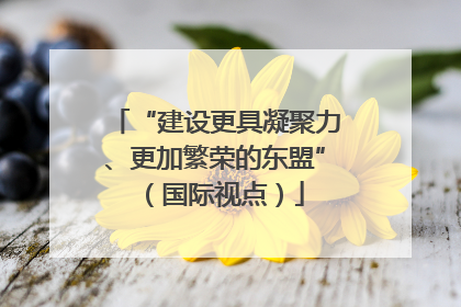 “建设更具凝聚力、更加繁荣的东盟”（国际视点）