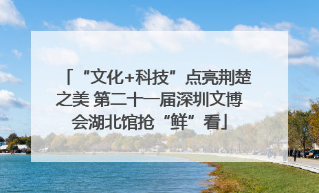 “文化+科技”点亮荆楚之美 第二十一届深圳文博会湖北馆抢“鲜”看