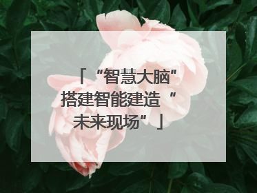 “智慧大脑”搭建智能建造“未来现场”