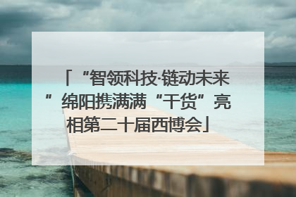 “智领科技·链动未来”绵阳携满满“干货”亮相第二十届西博会