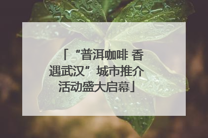 “普洱咖啡 香遇武汉”城市推介活动盛大启幕