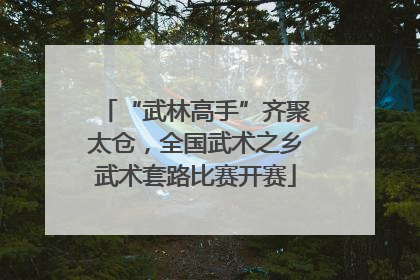 “武林高手”齐聚太仓，全国武术之乡武术套路比赛开赛