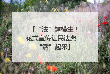 “法”趣横生！花式宣传让民法典“活”起来