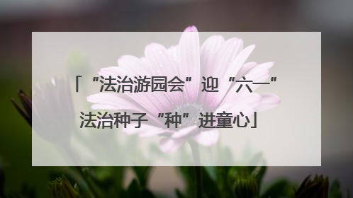 “法治游园会”迎“六一” 法治种子“种”进童心