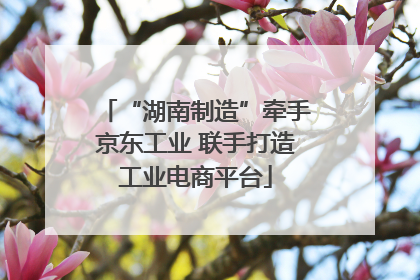 “湖南制造”牵手京东工业 联手打造工业电商平台